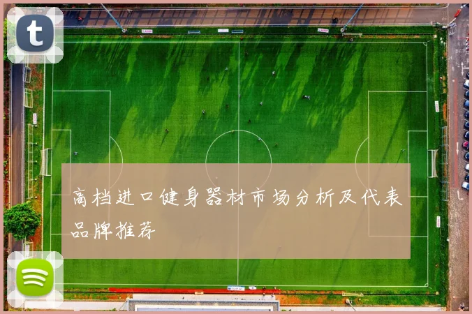 高档进口健身器材市场分析及代表品牌推荐