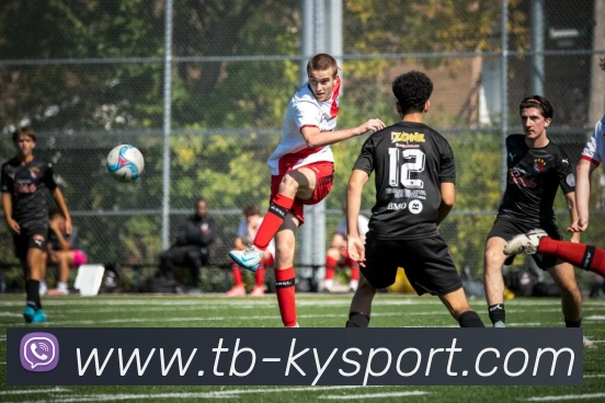 开云平台生态图